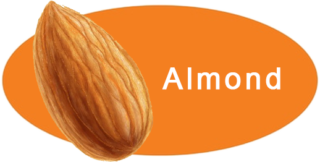 Almonds Shop Now - Aky Family Nuts