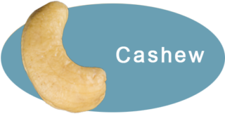 Cashews Shop Now - Aky Family Nuts