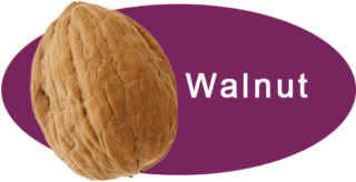 Walnuts Shop Now - Aky Family Nuts